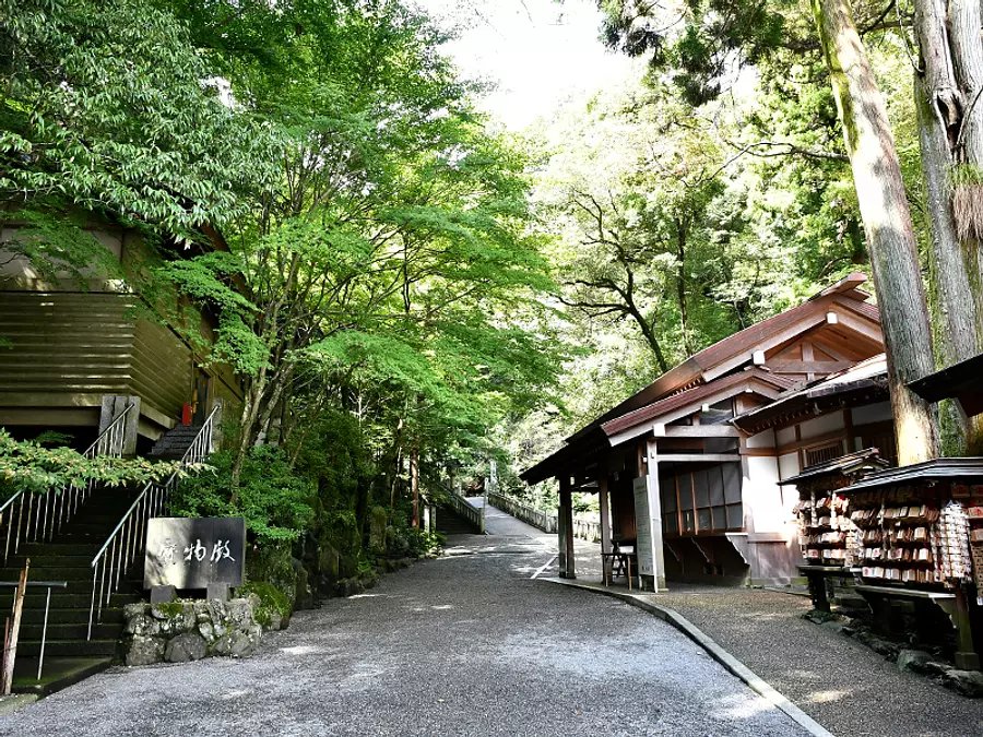 ⛩️ 다도 대사(다도타이샤) 이미지 6